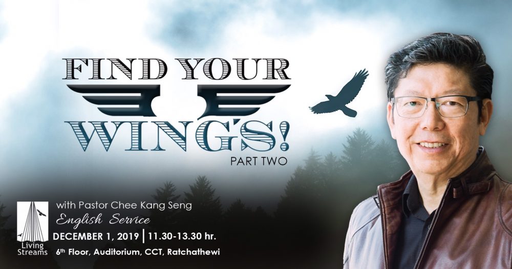 Find your wings! Part 2(Father’s Day Celebration) Image