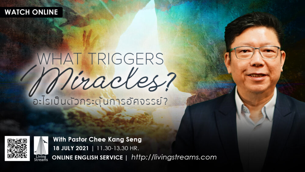 What Triggers Miracles? Image