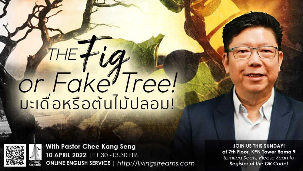 The Fig or Fake Tree! Image